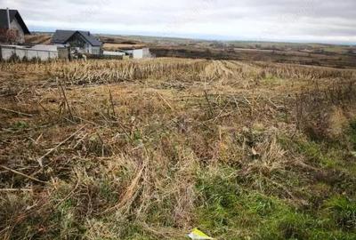 Teren intravilan, 5000mp, Siret - 3