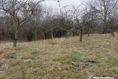 Ocazie! Teren intravilan cu utilitati  in Aiton la 30 min. de centru Cluj-Napoca - 13