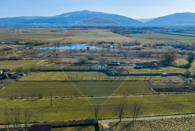 Teren agricol intravilan de 5000 mp, în Prejmer - 8