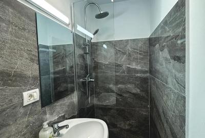 Ofer spre inchiriere STUDIO Modern si Primitor - 9