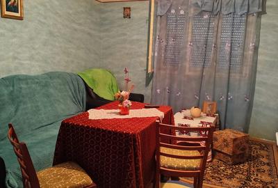 Casa de vacanta de vanzare in Cosdeni - 3