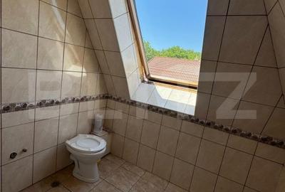 Vila de vanzare, cu 9 camere, 360 mp, zona Orastie - 19
