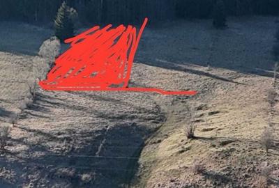 Teren intravilan la baza pădurii Valea Doftanei sat Traisteni (poduri) - 8