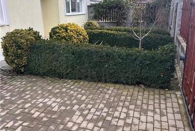 Duplex spatios - Asfalt - toate utilitatile . - 3