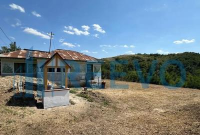 Casă cu 2 camere cu Teren 1425 Mp în Parincea - 10