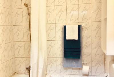 Garsonieră în Tineretului - 3