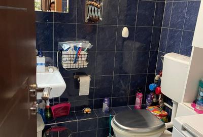 Parc Tineretului,Vacaresti,bl.1991,DECOMANDAT,Amenajat,2 balcoane,Liber - 2