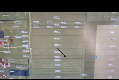 Teren de 2500 mp, în Corbu - 1