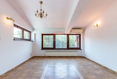 De vanzare cladire multifunc?ionala Calea Ferentari - 4