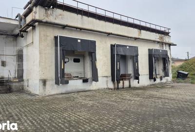 Spațiu comercial, de 4,000 mp, în Sud - 15