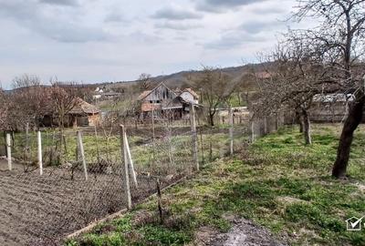 Casă individuală cu 3 camere cu Teren 579 Mp în Moldovenești - 12
