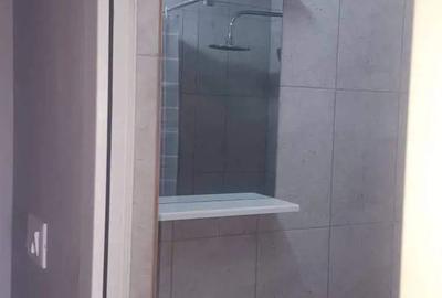 Garsonieră nedecomandată în Buziașului - 2