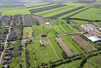 Hala de 430 mp ?i teren intravilan 2.5 ha Macea - 2