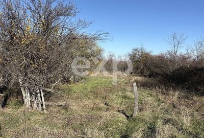 Teren Construcții de 2200 mp, în Poiana Lacului - 2