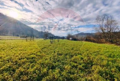 COMISION 0%  Teren intravilan de vanzare in Barsana (26 ARI) - 13