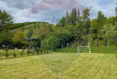 Proprietate specială, de 280 mp, în Almaș - 57