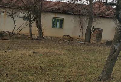 Casa de vanzare in Dumbravi?a de Codru - 2