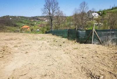 Teren în Calea Caransebeșului - 4