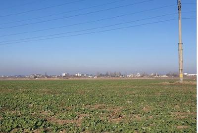 Teren intravilan 20.000 mp zona ANL Braila - 1