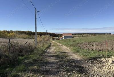 Teren de 500 mp, în Central - 2