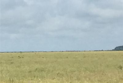 Teren în Central - 1