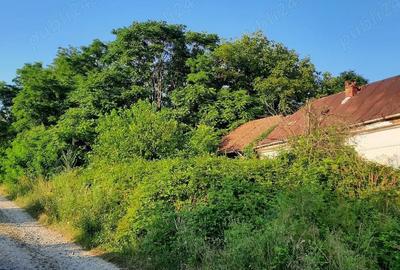 Casă cu 10 camere în Zgribești - 9