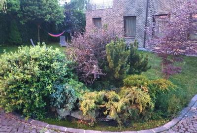 Casă individuală cu 7 camere cu Canalizare în Făget - 3