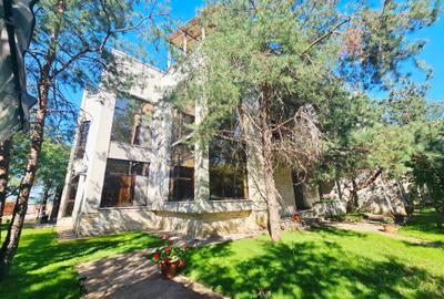 Duplex cu 9 camere cu Canalizare în Albert - 53