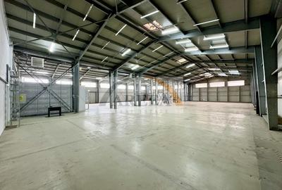 Depozit-Hala-Productie 744mp+366 Birouri-Acces tir - 3