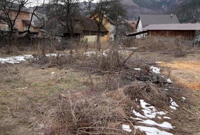 Teren de 564 mp, în Dragoslavele - 3