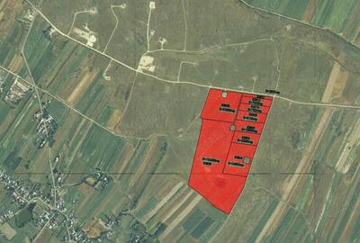 Terenuri arabile Oarja, Arges - 20.43ha - 1