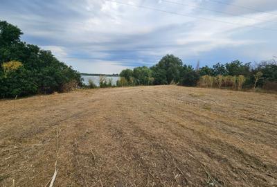 Vanzare Teren Buftea | Crevedia | Samurcasi | Iesire catre LAC - 9
