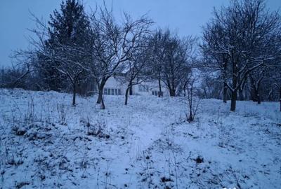 Teren de 5950 mp, în Scorțeni - 8