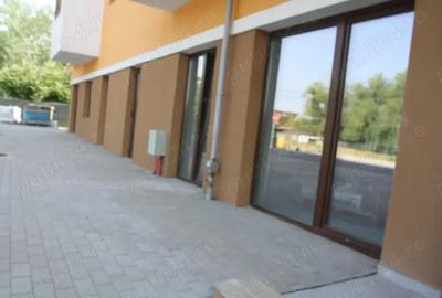 Spațiu comercial, de 157 mp, în Șagului