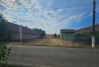 Teren Construcții intravilan de 2878 mp, în Dudeștii Noi - 1