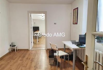 Stefan cel Mare, Vasile Lascar, inchiriere vila singur curte - 6