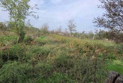 Casă în Cudalbi - 1