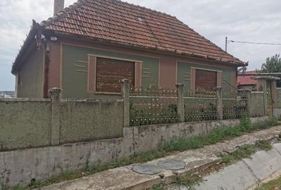 Casa individuala de vanzare in Saldabagiu de Munte, posibilitate de parcelare. - 7