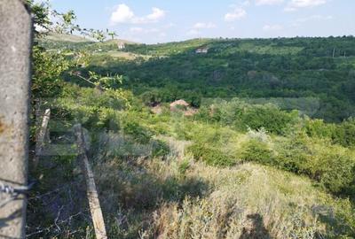 Teren, 3600mp, Drumul Vinului - 2