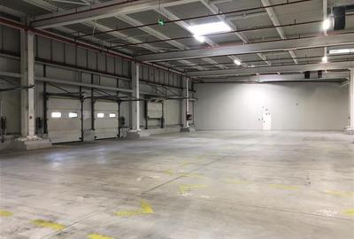 Inchiriere depozit/hala/spatiu industrial Chiajna - A1 - Centura - 8