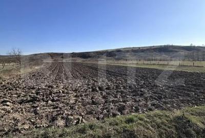 Teren de 5800 mp, în Dej - 1