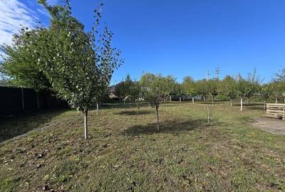 Casa individuala cu teren generos Jilava - Str Garii - 7