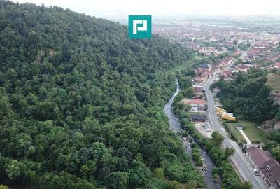 Teren Intravilan, in ora?ul Sebi?, Arad - 6