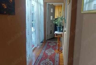 Stadion - Delfinariu - Casa - 6