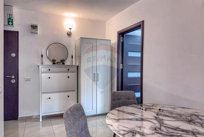 Apartament cu 2 camere decomandat, mobilat în Aviației - 6
