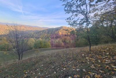 Teren intravilan de vanzare in Telega - 9