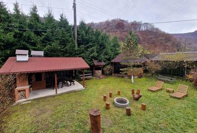Casă cu 3 camere cu Teren 1493 Mp în Orăști - 9
