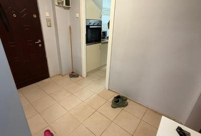 Dristor Nicolae Grigorescu - Camil Ressu - Scoala 88 - langa Parc IOR - 10