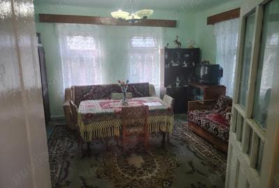 Casă cu 6 camere cu Teren 6000 Mp în Diviciorii Mici - 4