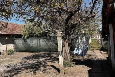 Casă cu 3 camere cu Teren 1440 Mp în Iratoșu - 1